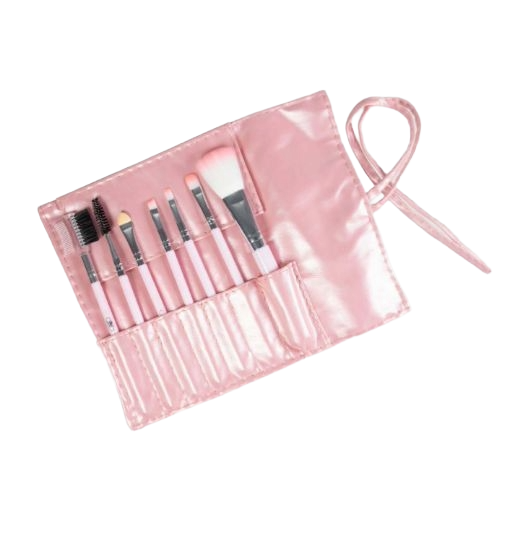 Set de Brochas Cartera