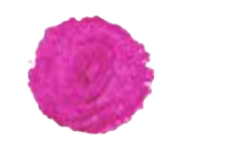 Labial Animal Print