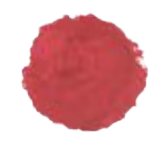 Labial Animal Print