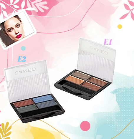 Paleta Cuarteto de Sombras Elegante